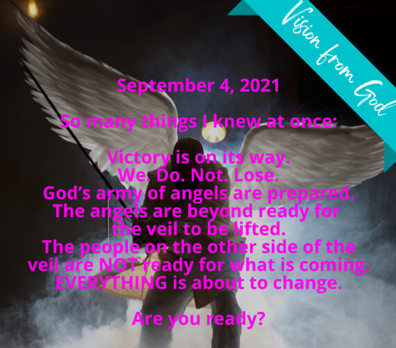 Victory is on its way.  We. Do. Not. Lose. God’s army of angels are prepared.